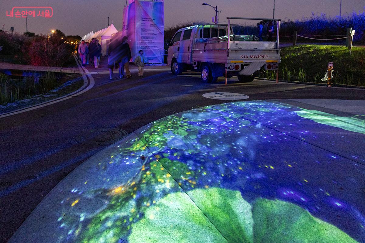 길 위에 투사된 영상이 억새와 함께 반짝이며 하늘공원의 밤길을 물들인다.ⓒ장신자