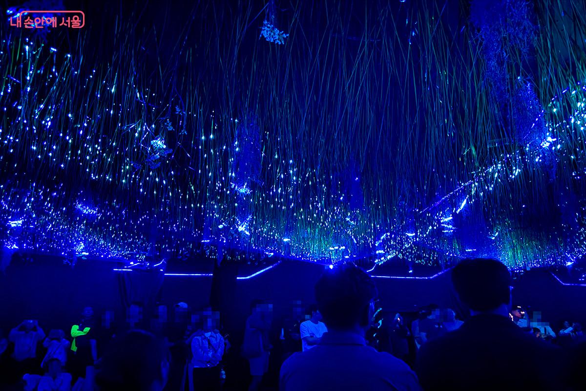 천장에 펼쳐진 거대한 빛의 풀밭이 낯설고 새로운 공간을 느끼게 해준다. ©김미정