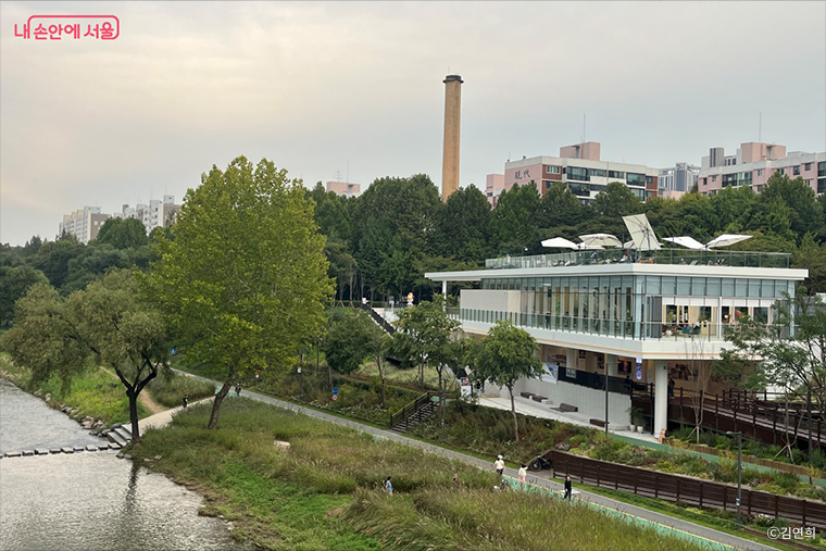 브로콜리 지역정보 관련 사진 17