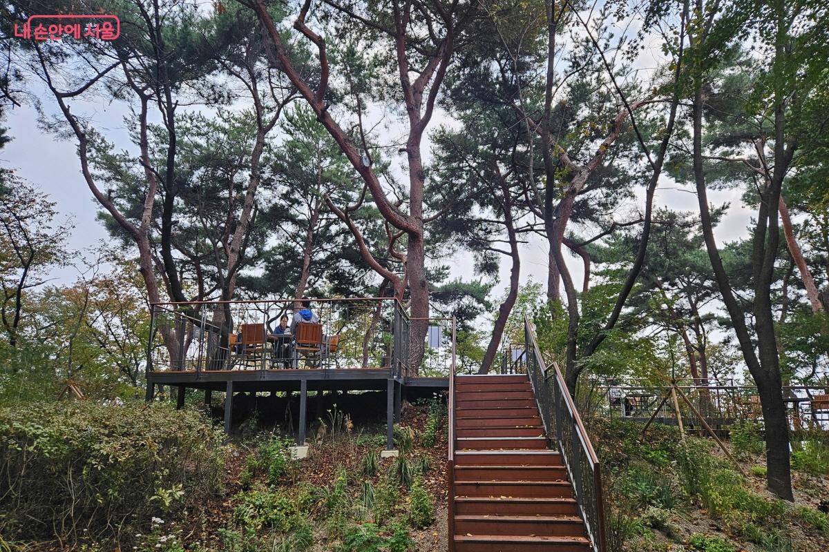 소나무 아래 휴식을 취할 수 있는 쉼터 ©이선미