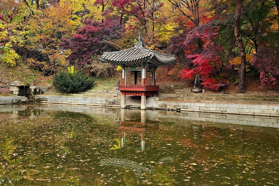 데이터로 본 서울 가을명소 1위! 4대궁에서 만나는 가을의 정취