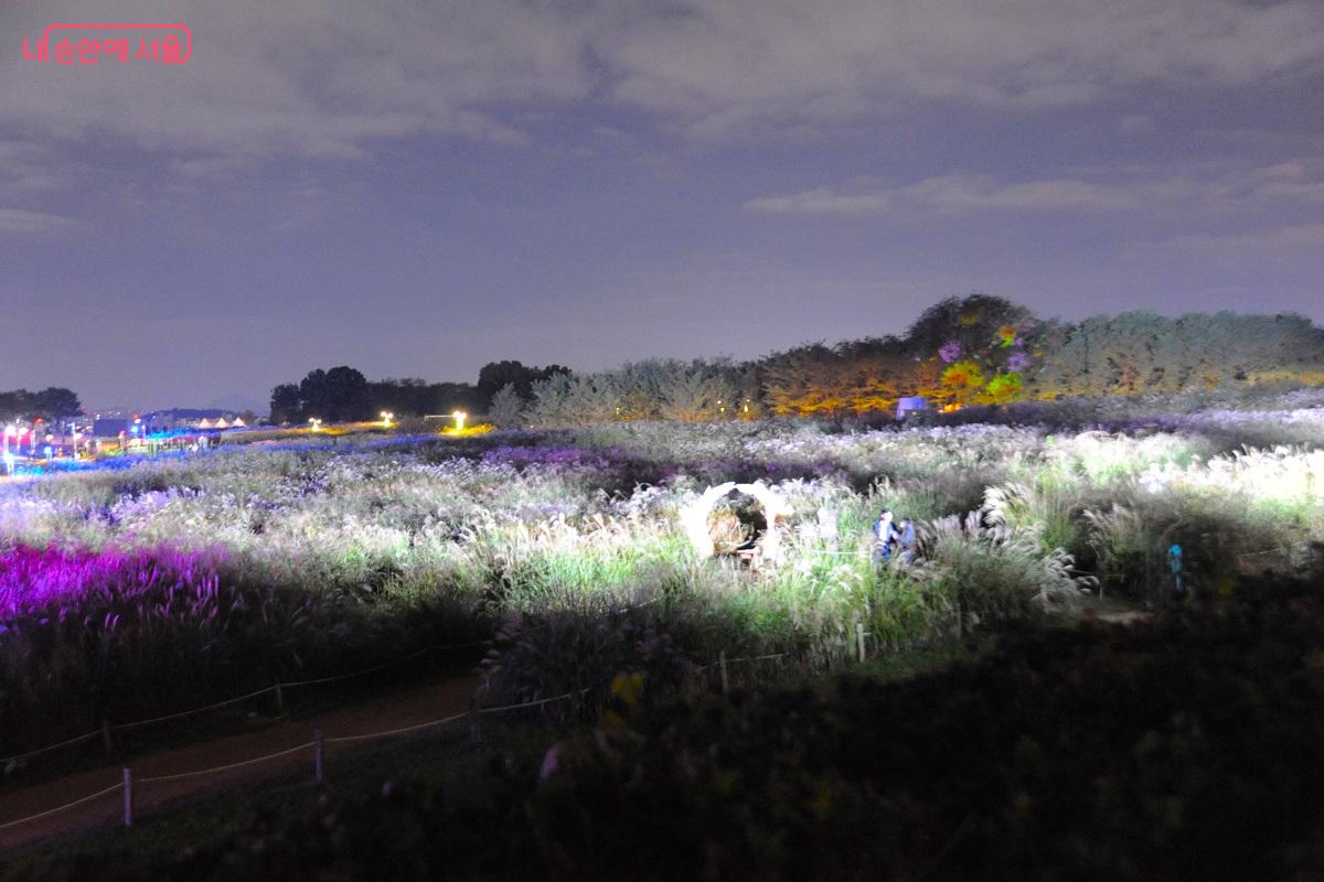 어두워지면 미디어파사드·경관 조명·고보라이트를 이용한 화려한 미디어아트 쇼가 시작된다.  ⓒ조수봉