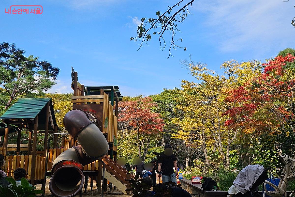 어린이놀이터 주변 나무들에 단풍이 들기 시작했다. ©김진호