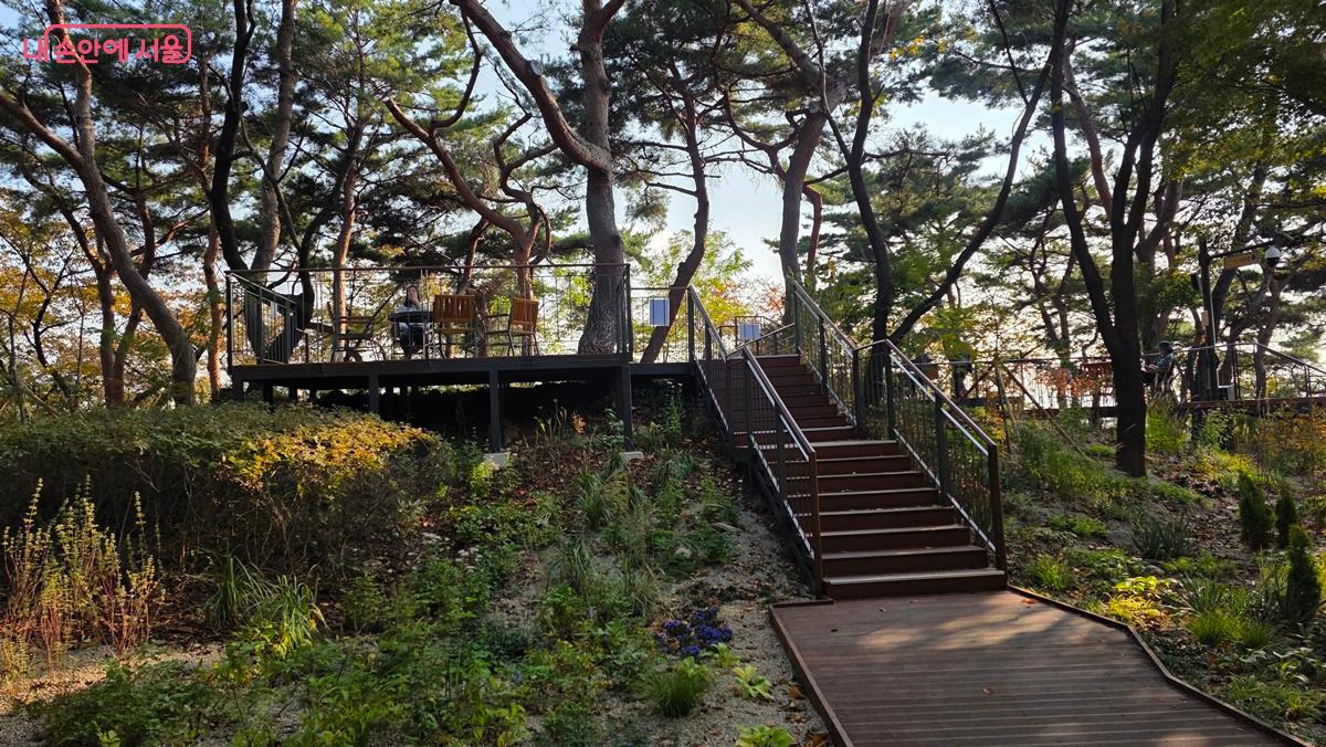 쉼과 치유의 장소 건강정원 모습 ©최용수