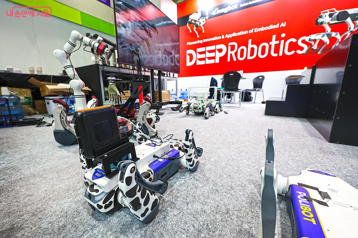 시선을 뗄 수 없는 AI 로봇쇼의 로봇들 ©김주연