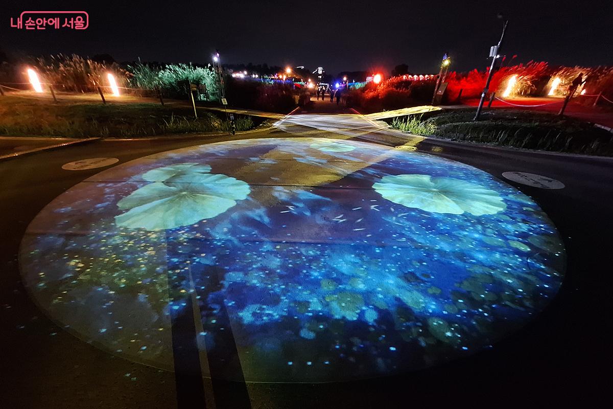 야간에 찾는 하늘공원은 갈대와 조명, 레이저 빛이 어우러져 환상적인 풍경을 만들어낸다. ©백승훈