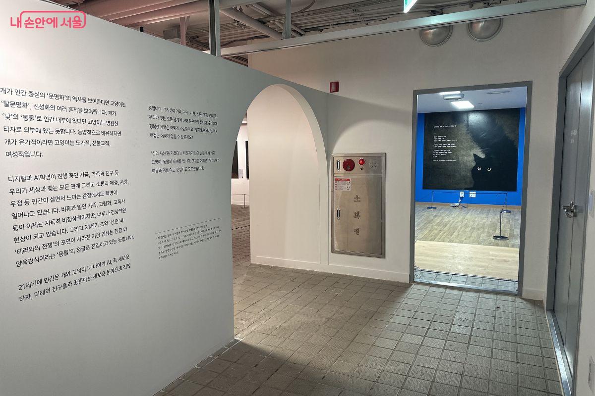 여의도 지하벙커는 기존의 전시장에서 경험하기 어려운 공간적 긴장감과 신선함이 있다. ©김재형