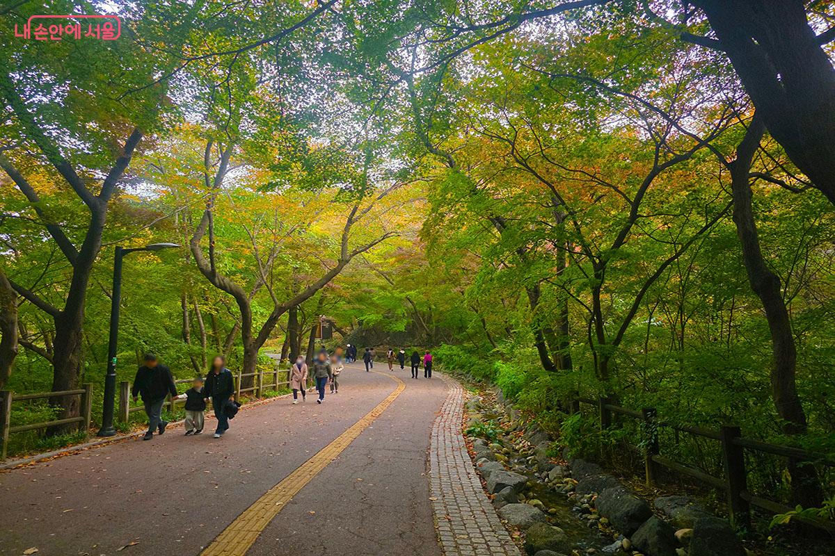 남산 북측순환로를 산책하는 시민들 ©이정민