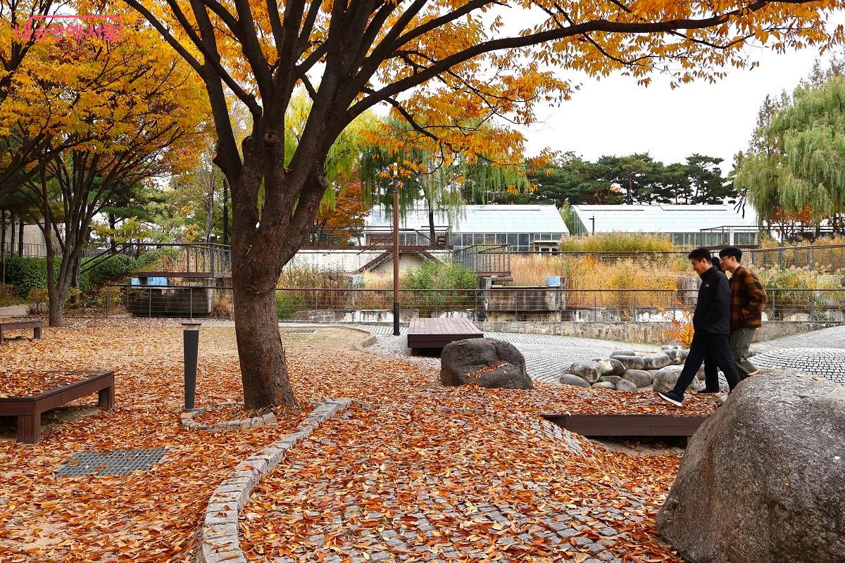 가을 공원을 거닐며 여유를 만끽하고 있는 시민들 &copy;이봉덕