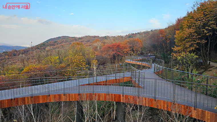 전망대 주변에는 자연경관 조성과 산림 복원을 위해 다양한 수종의 수목을 식재했다. 