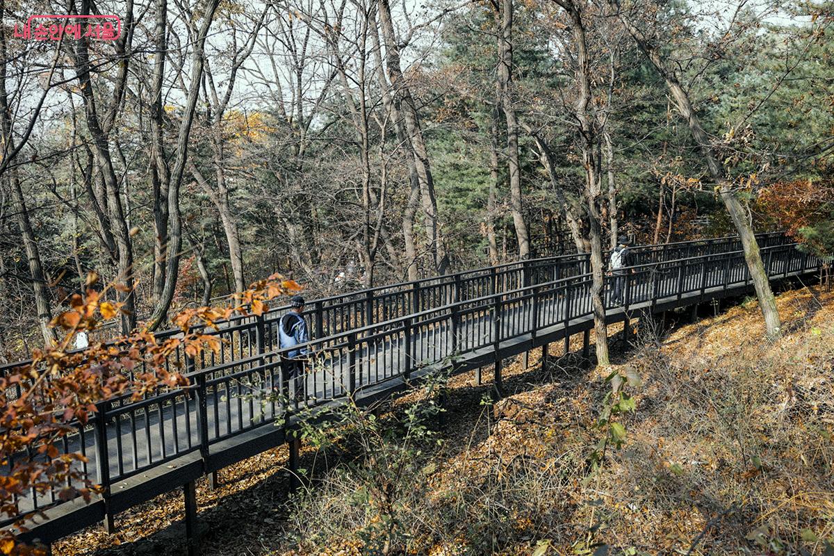 중간에 갈림길이 나와도 경사진 길, 즉 오르는 방향만 따라가면 된다. ©김아름
