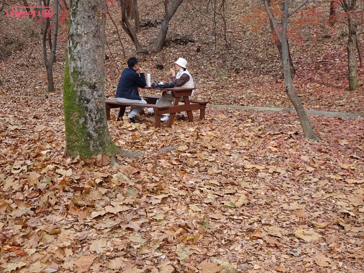 바스락거리는 낙엽 위 쉼터 &copy;김종성