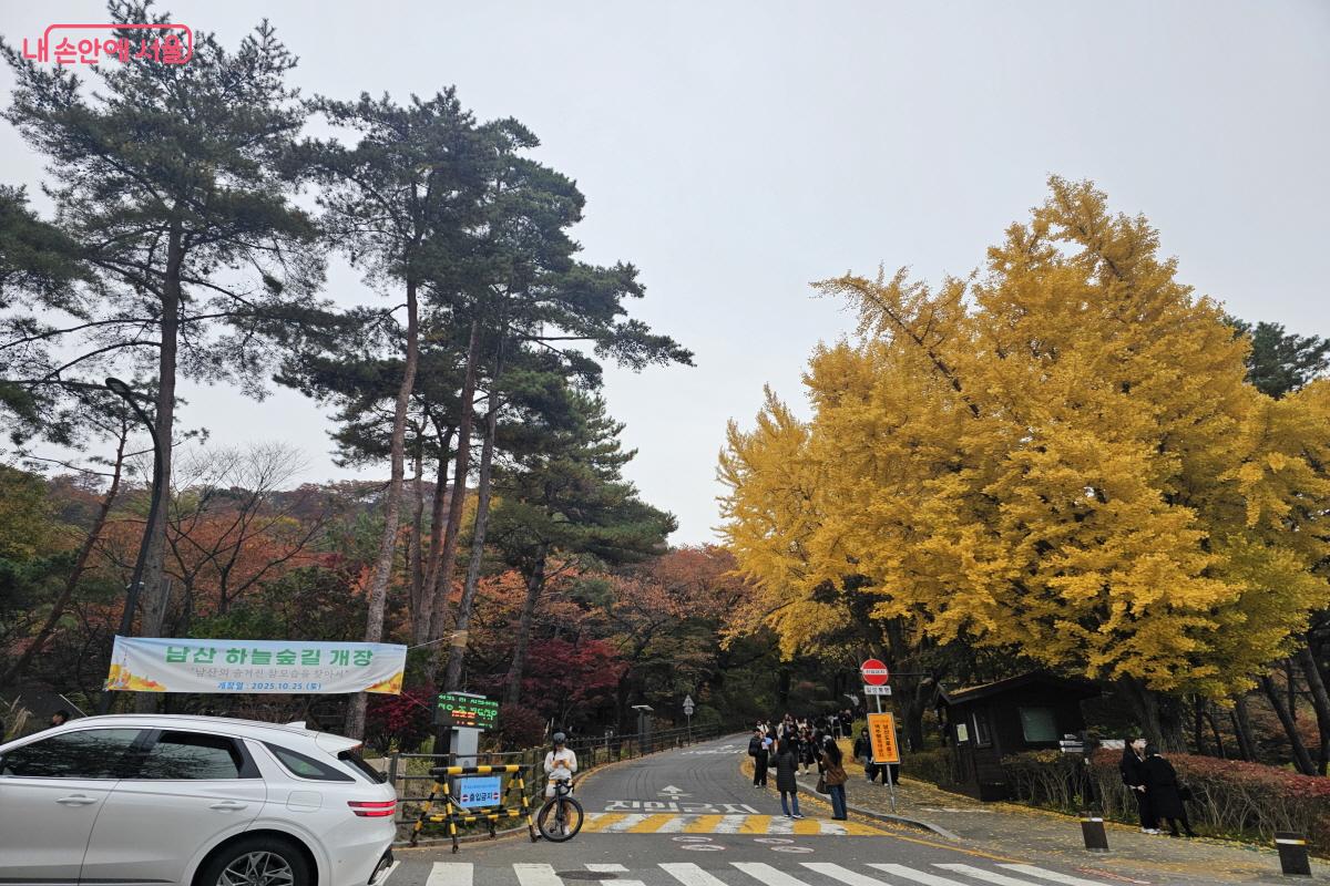 새롭게 개방한 하늘숲길과 남산도서관을 꼭 같이 가보길 추천한다. ⓒ염지연