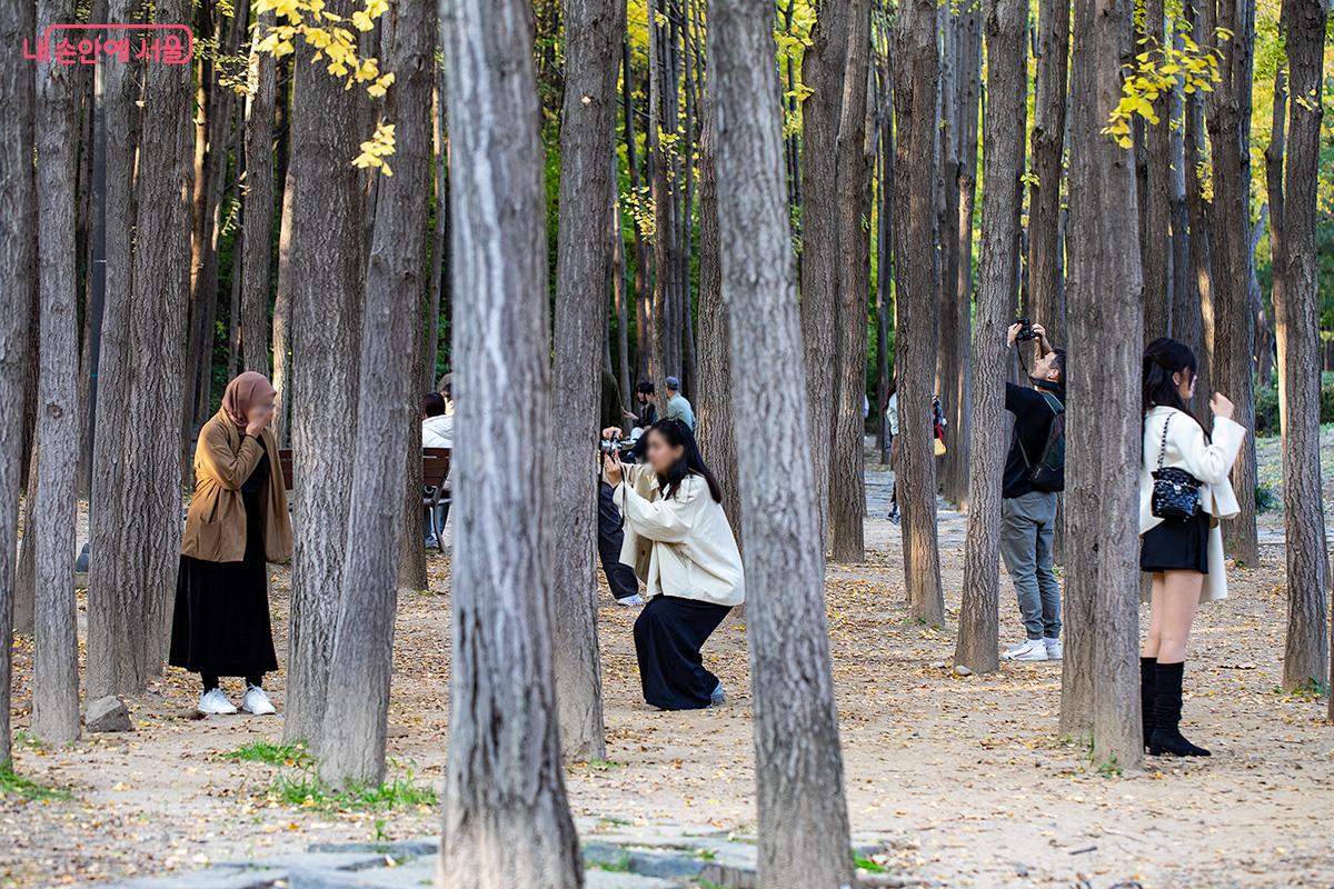 노랗게 물든 은행나무 숲은 가을의 하이라이트였다. 늘씬한 은행나무 사이사이에서 사진을 찍는 시민들의 밝은 웃음이 쉴 새 없이 새어나왔다. &copy;문청야