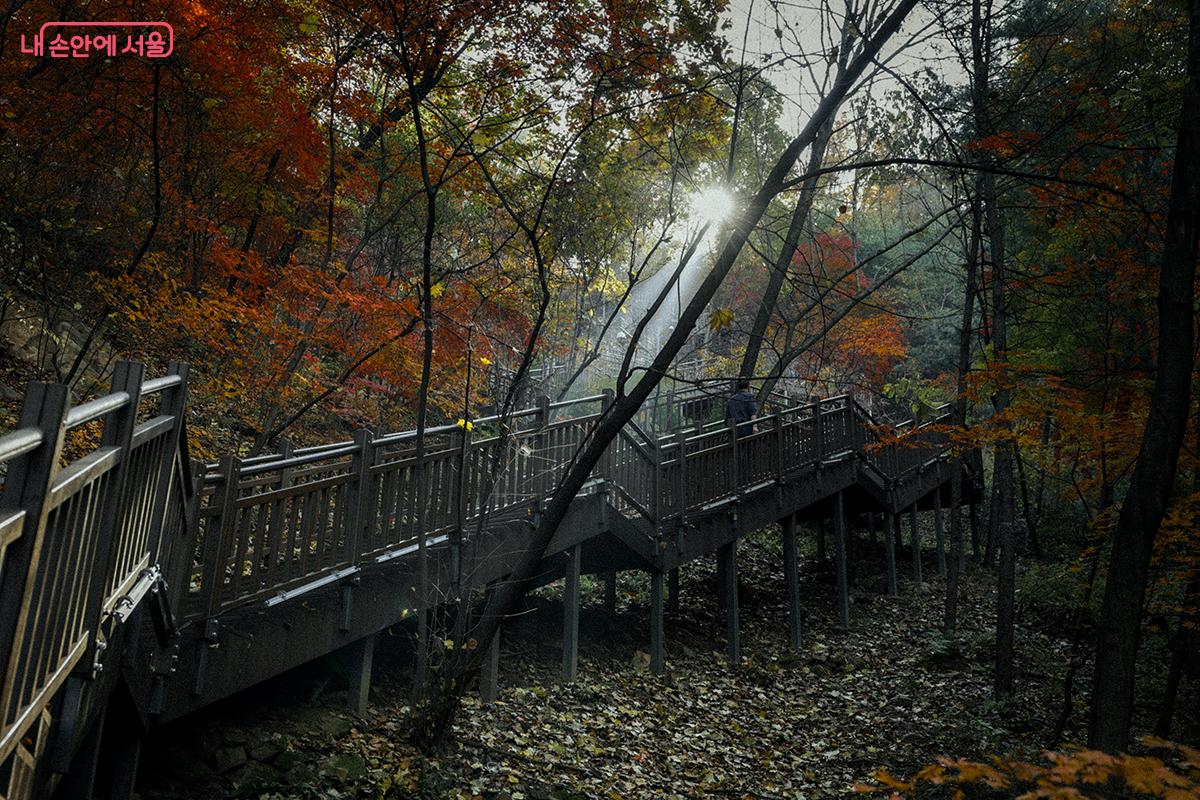 954개의 데크 계단으로 이루어진 남산 '북측숲길'. 10~15분만에 남산 정상에 이르게 된다. ©김아름