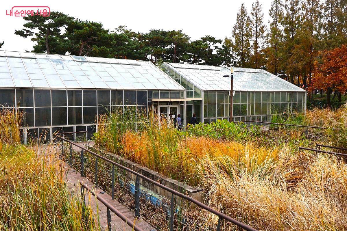 원래 물을 걸러내던 정수 처리 시설이었던 공간을 그대로 살려서 온실로 조성했다. &copy;이봉덕