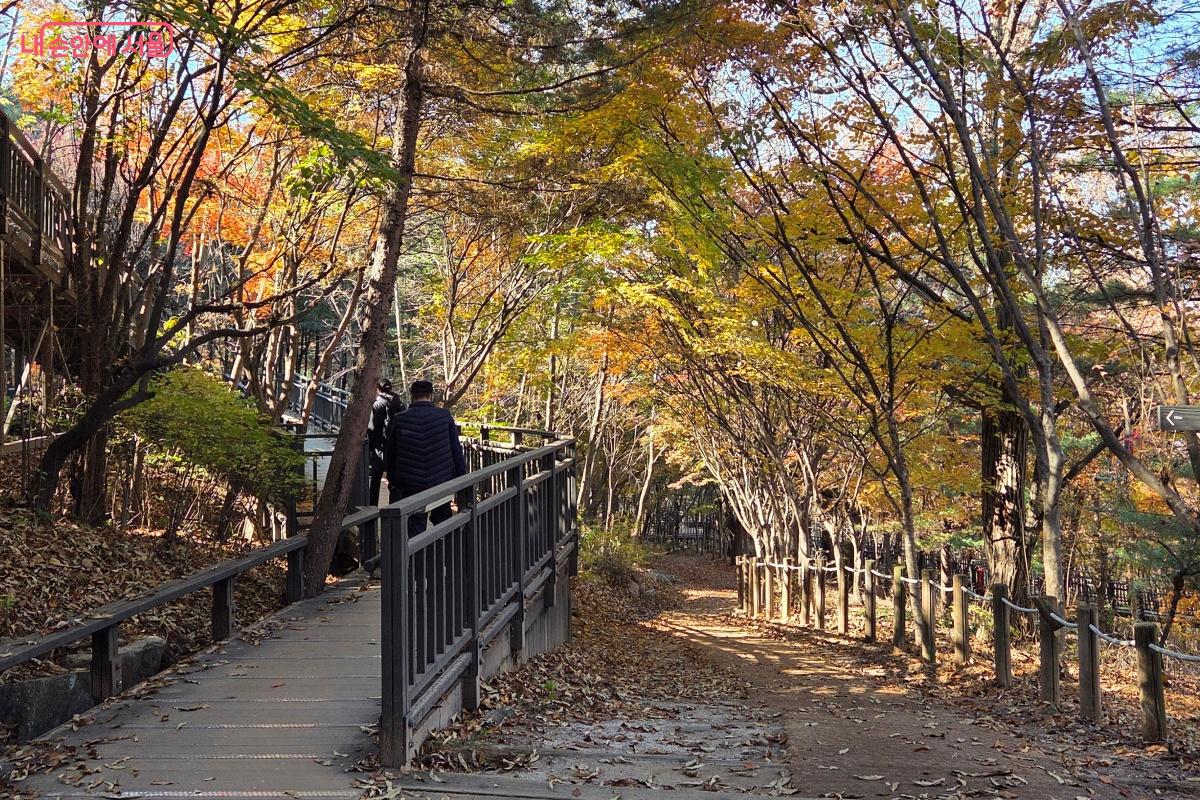 가을 낙엽을 밟을 수 있는 산길에서는 자연을 느낄 수도 있었다. ©김미선