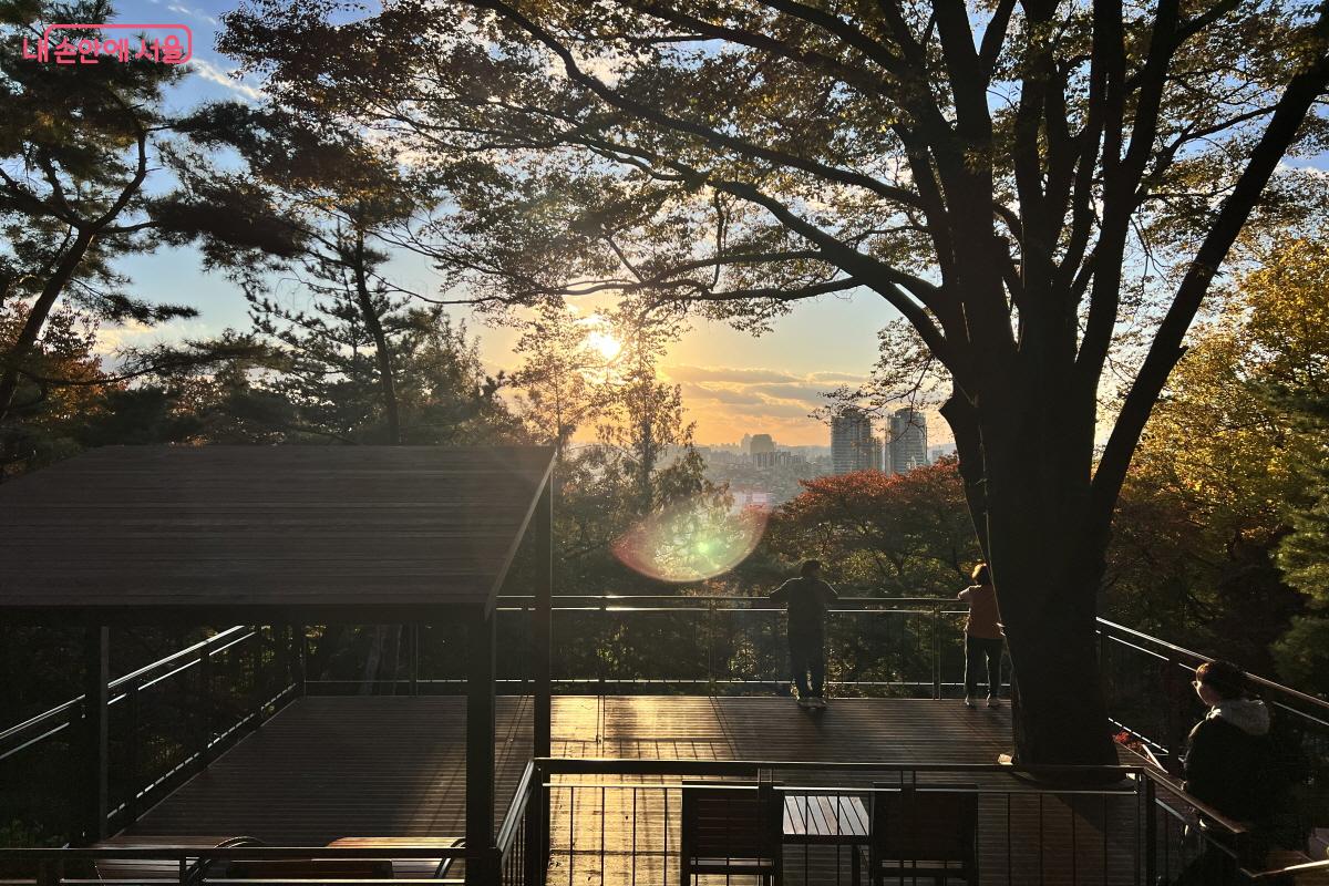 방문 시간대에 따라 다양한 풍광을 즐길 수 있다. ©박지영