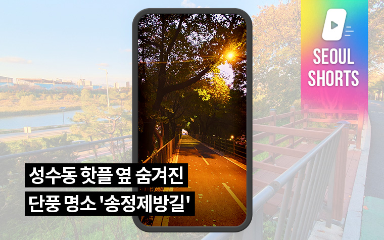 성수동 핫플 옆 숨겨진 단풍 명소 '송정제방길'