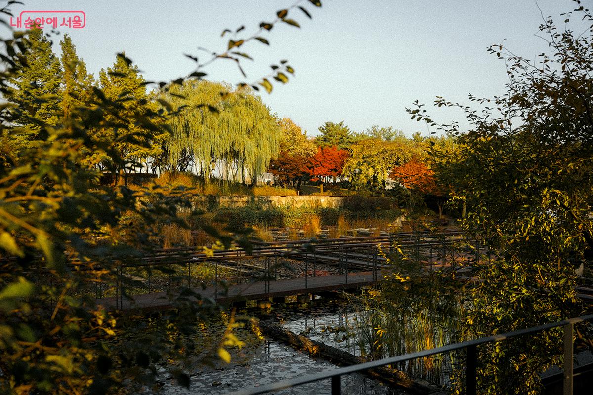 선유도공원은 과거 정수장 건축 구조물을 재활용해 조성된 국내 최초의 환경재생 생태공원으로 산업시설의 흔적과 자연의 재생이 공존하며 독특한 풍경을 자아낸다. &copy;김아름