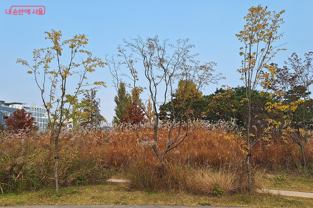 바람이 속삭이는 평화로운 정원, 생명이 흐르는 자연의 숨결이 마음 깊이 스며든다. ©정향선