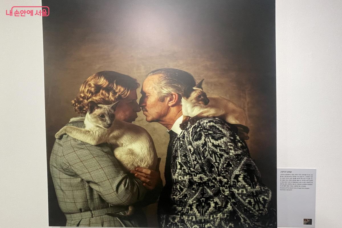 ‘고양이의 우주’ 섹션에 전시 중인 ‘고양이의 입맞춤’ ©이정민