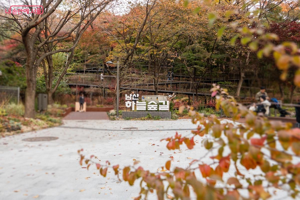 남산 하늘숲길, 소월정원의 가을 &copy;이진형  