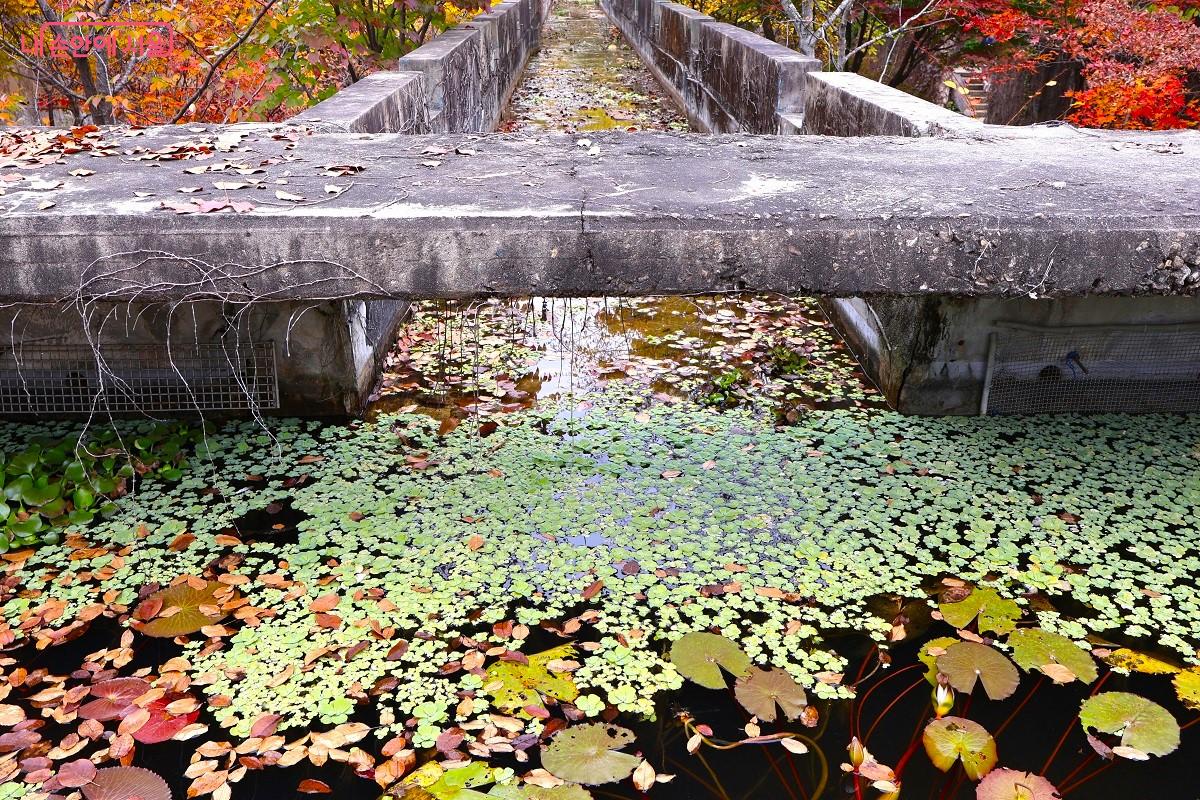 선유도공원 풍경 곳곳은 그대로 그림이 되었다. &copy;이봉덕