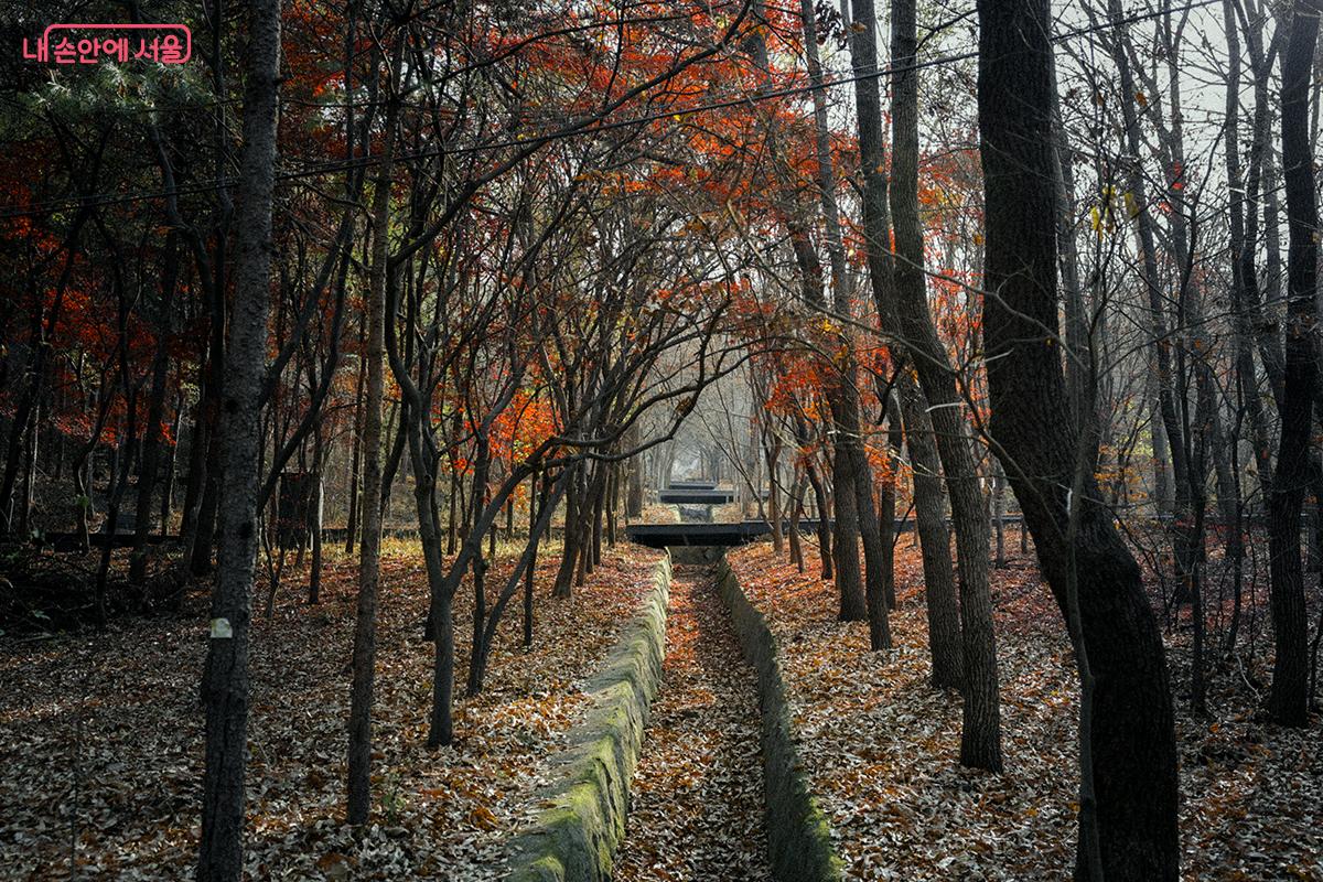 사색의 길 풍경이 아름답다. ©김아름