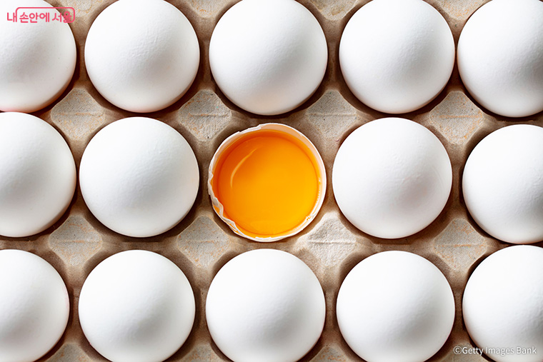 현대의 백신 공장에서는 달걀을 이용해 백신을 만든다.