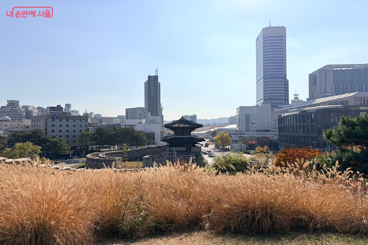 한양도성박물관 인근 도성길에서 바라본 동대문 &copy;이종빈