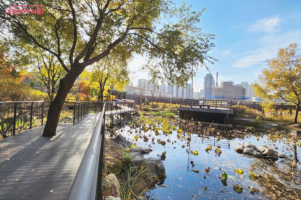 불암산 힐링타운 내 풍경