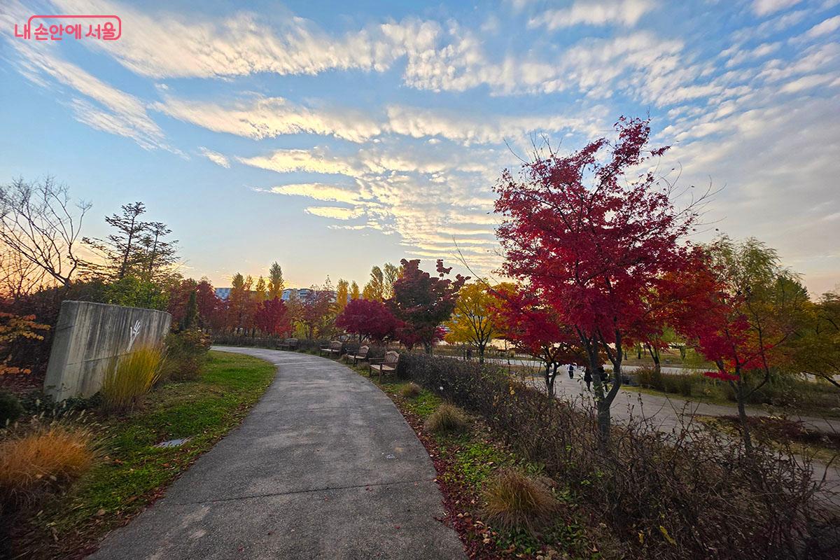 가을의 정취를 느끼며 걷기 좋은 야외 식물원 공간 ©이정민