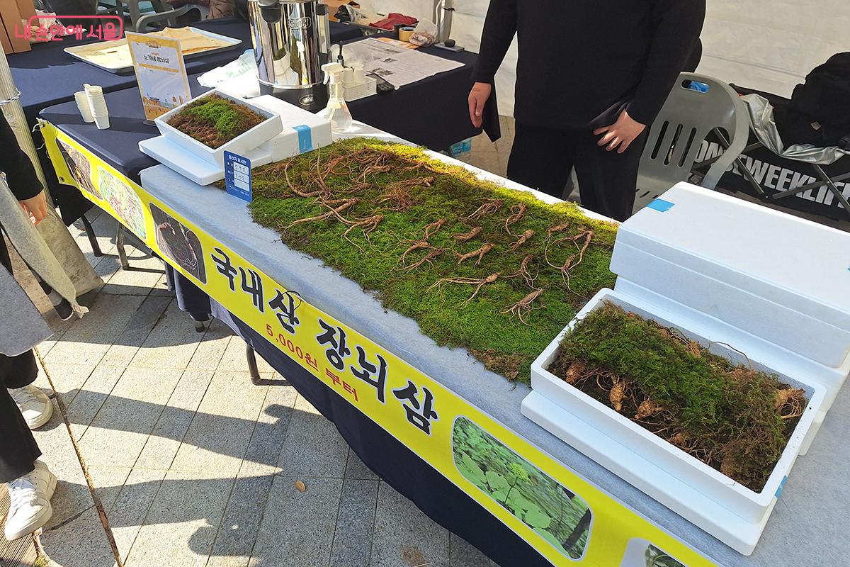 국내산 장뇌삼을 산지 직송으로 저렴하게 판매하는 코너가 시민들의 큰 인기를 끌었다. ©정향선