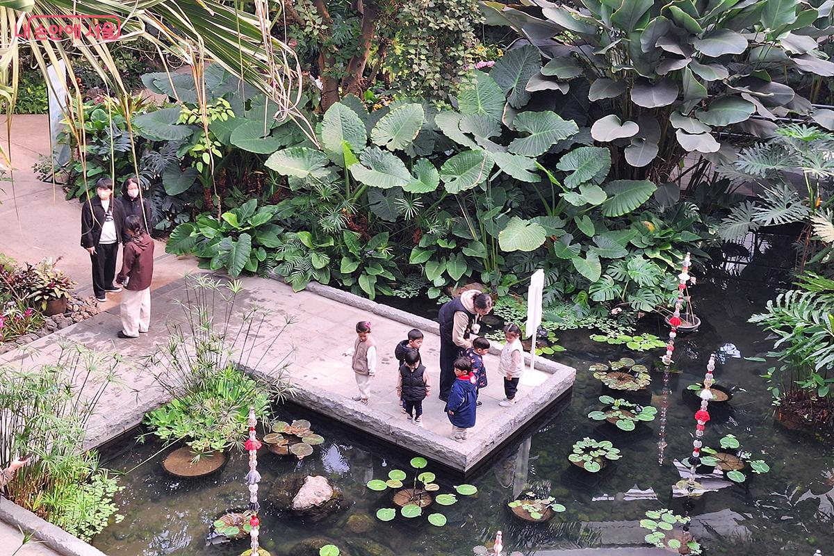 연못가에서 작은 생명들을 바라보는 아이들의 호기심 어린 표정과 자연의 조화로운 소리가 가슴을 따뜻하게 만든다. ©정향선