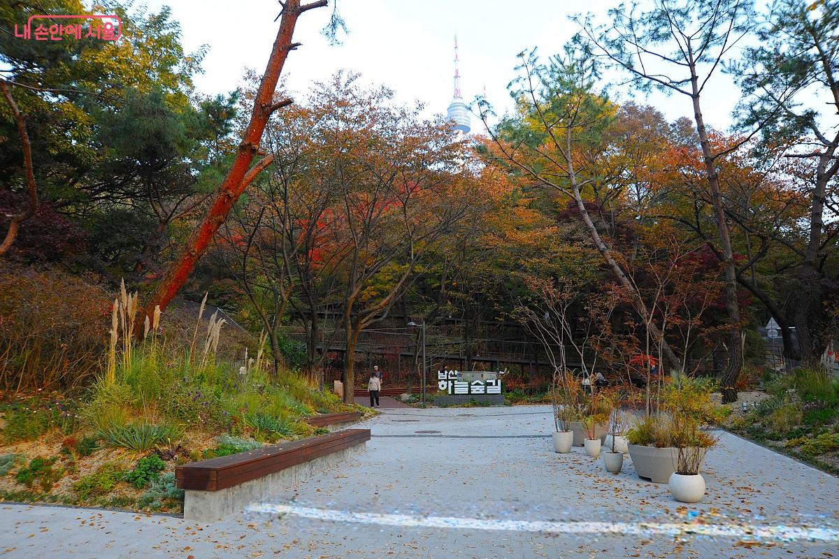 남산도서관 옆에 조성된 ‘소월정원’은 하늘숲길의 시작점이자 도착점이다. ⓒ조수봉
