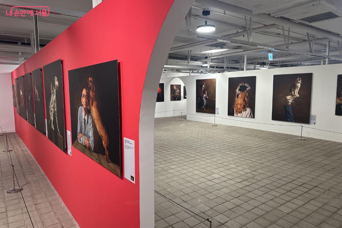 밀폐된 공간의 전시장에서 강렬한 색채가 관람자의 집중도를 높인다. ©김재형