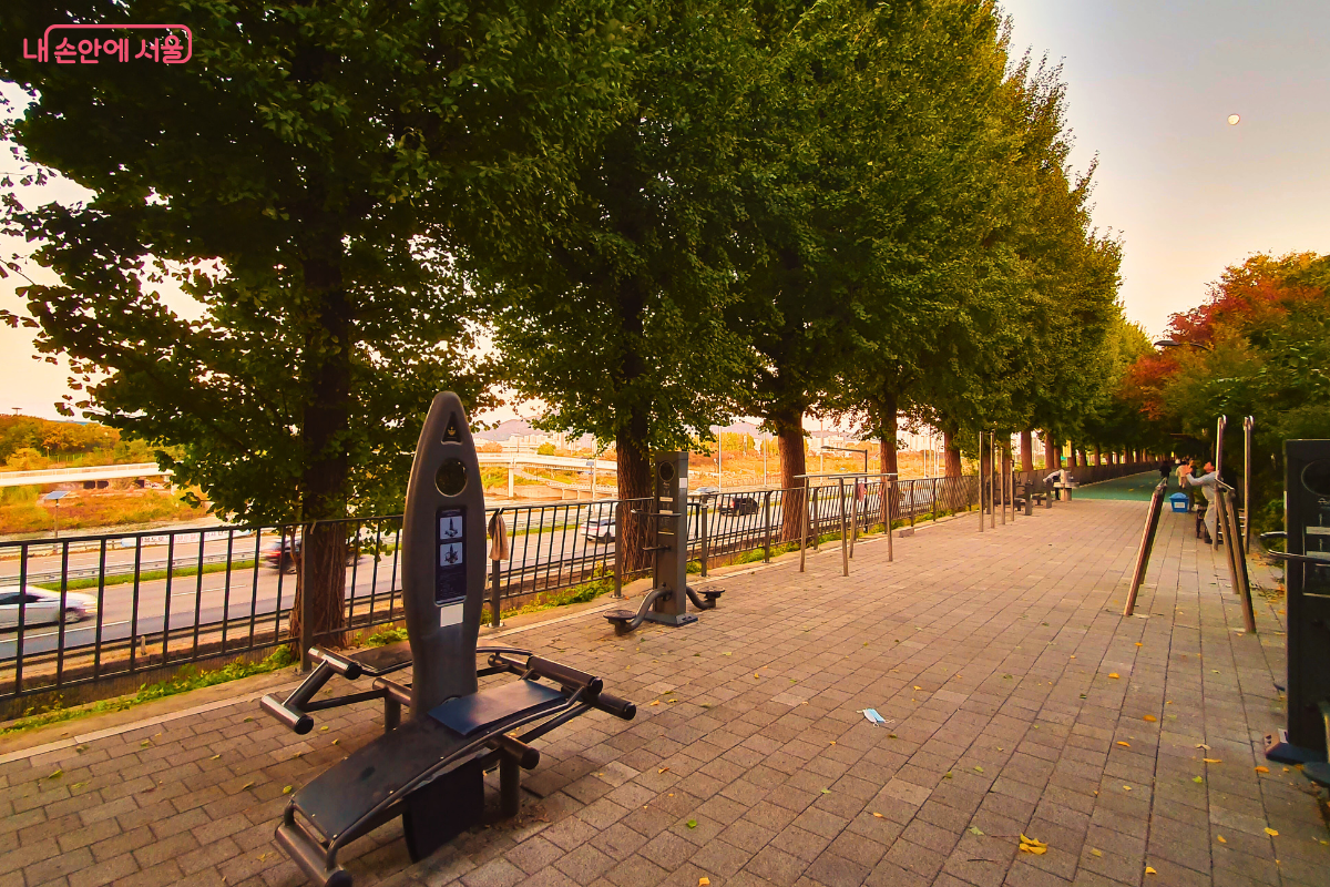 산책하며 체력 단련도 할 수 있는 다양한 야외 운동기구들 ©양정화