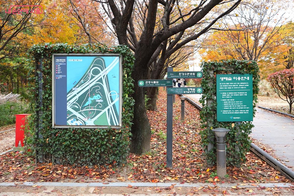 은행나무숲에서 보행교로 올라 직진하면, 횡단보도를 건너 한강수변공원과 생태숲을 만날 수 있다. ©이봉덕