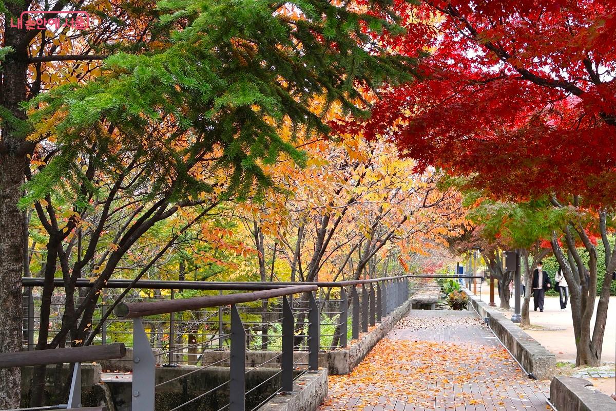 화사한 가을 빛 속에서 산책하고 있는 방문객들 &copy;이봉덕  