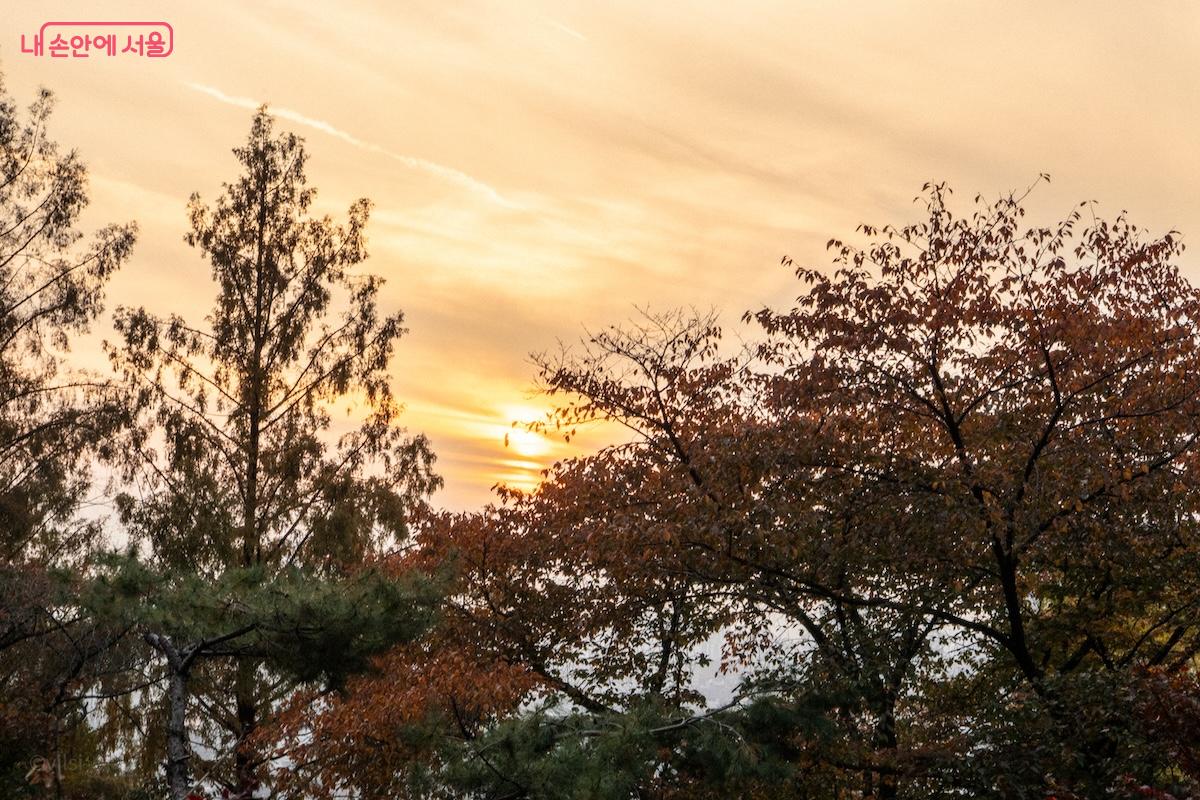 남산 하늘숲길 구간에서 바라보는 노을은, 11월 방문을 추천하는 가장 큰 이유다. &copy;이진형