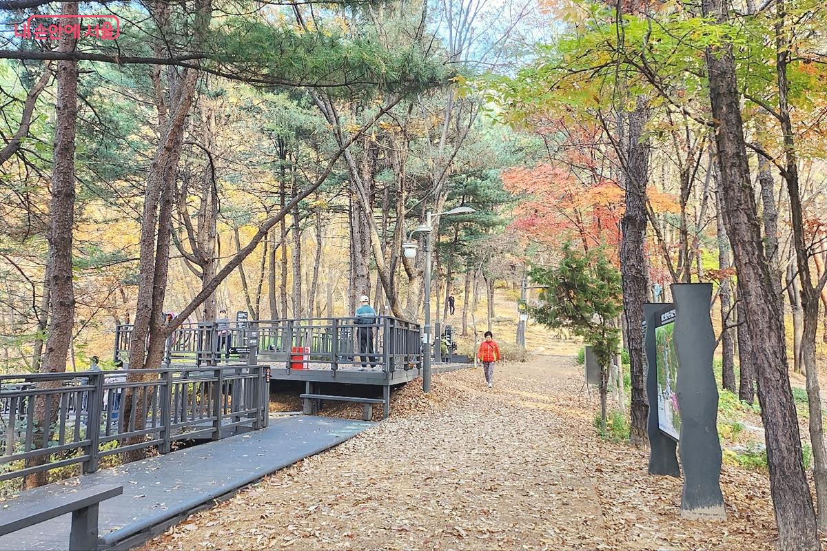 화사하게 수놓은 단풍길