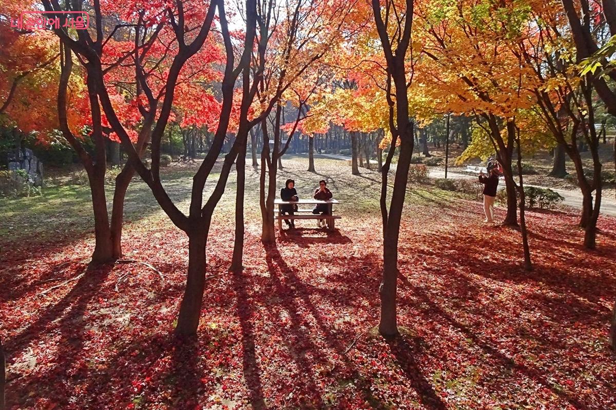 양재천변 공원 숲에 나들이 나온 시민들 ⓒ김종성