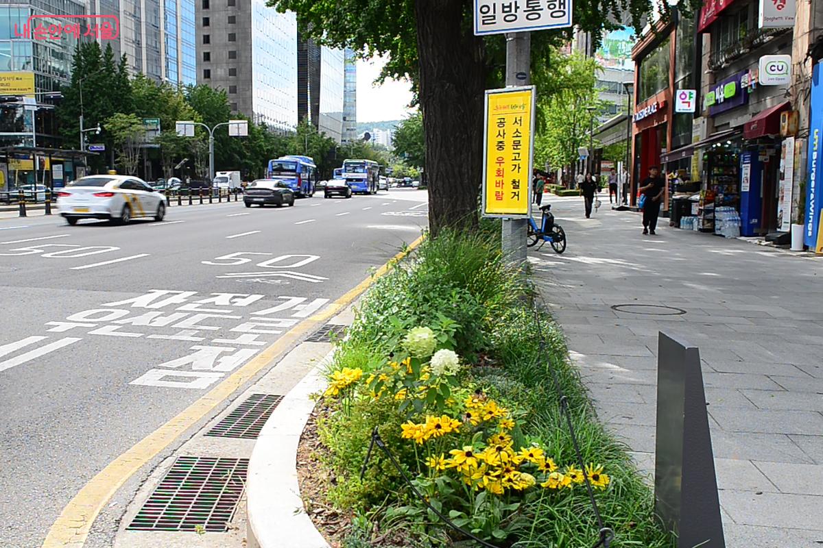 새문안로를 따라 이어지는 가로정원 ©오도연