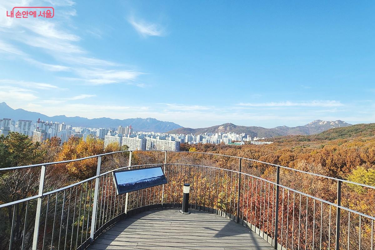 전망대에서 내려다 본 도시