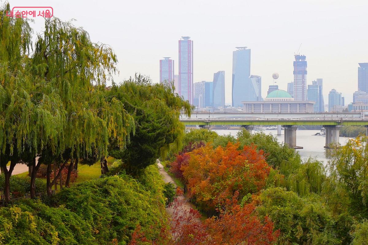여의도와 한강을 배경으로 선유도의 가을이 깊어가고 있다. &copy;이봉덕   
