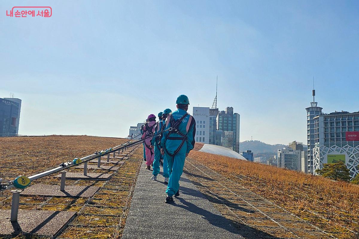 따사로운 햇살 아래, 서울의 심장부 DDP의 유려한 곡선 지붕 위를 걷는 순간 ©문청야