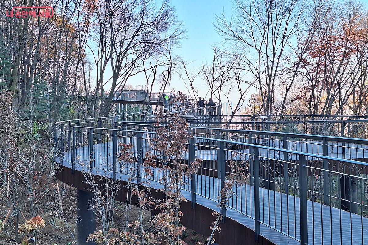 길이 약 160m의 용마산 스카이워크는 숲 위를 가로지르는 데크길로 구성되어 있다. &copy;이혜숙