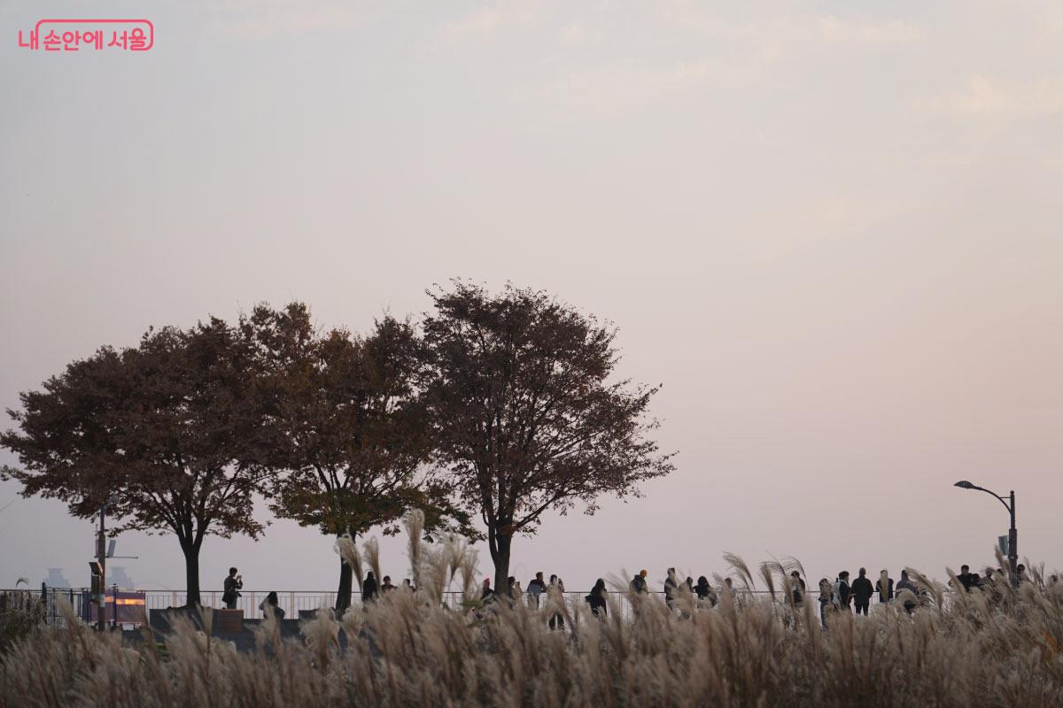 가을 풍경을 느끼기 좋다. &copy;홍혜수