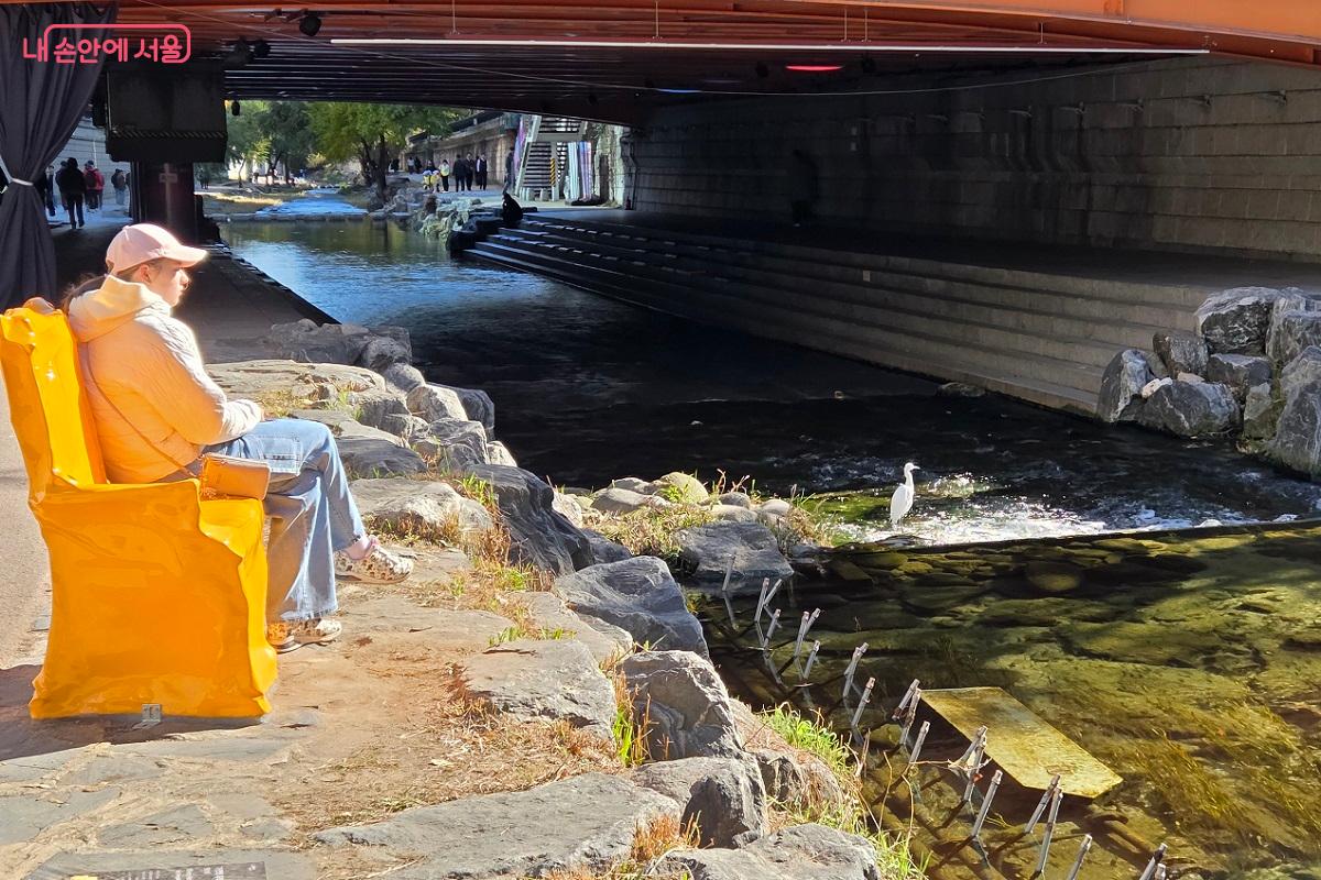청계천을 방문한 외국인이 왜가리가 노니는 것을 바라보며 망중한에 젖어 있다. &copy;이상돈
